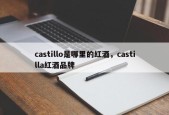 castillo是哪里的红酒，castilla红酒品牌