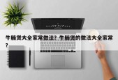牛腩煲大全家常做法？牛腩煲的做法大全家常？