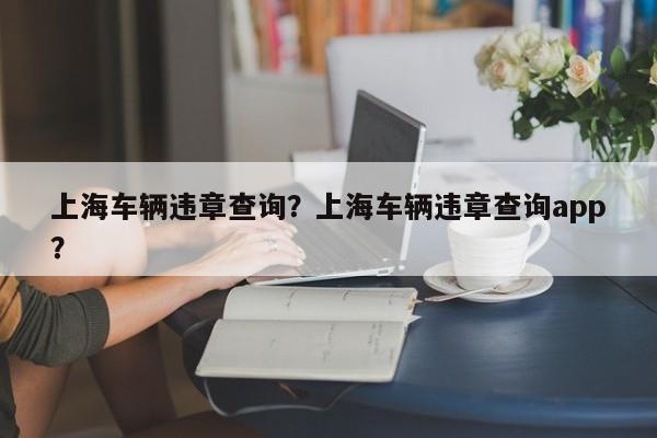 上海车辆违章查询？上海车辆违章查询app？  第1张