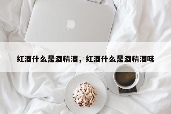红酒什么是酒精酒，红酒什么是酒精酒味  第1张