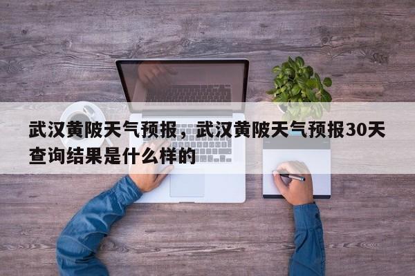 武汉黄陂天气预报，武汉黄陂天气预报30天查询结果是什么样的  第1张