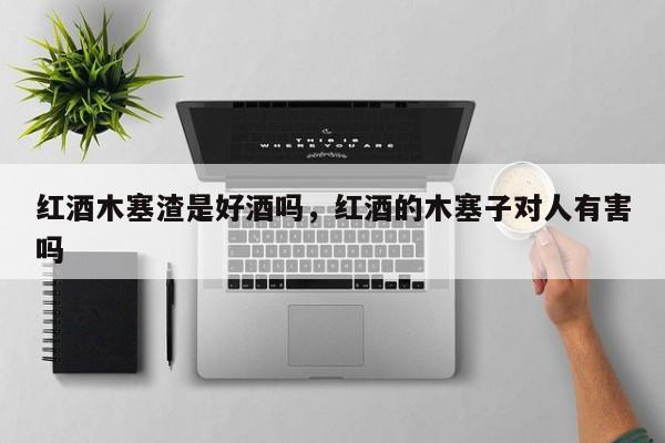 红酒木塞渣是好酒吗，红酒的木塞子对人有害吗  第1张