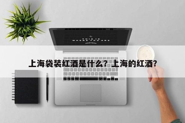 上海袋装红酒是什么？上海的红酒？  第1张