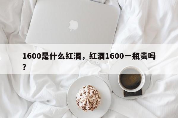 1600是什么红酒，红酒1600一瓶贵吗？  第1张
