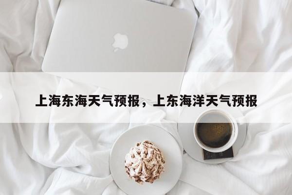 上海东海天气预报，上东海洋天气预报  第1张