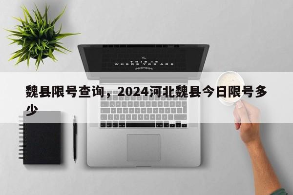 魏县限号查询，2024河北魏县今日限号多少  第1张