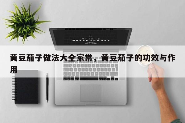 黄豆茄子做法大全家常，黄豆茄子的功效与作用  第1张