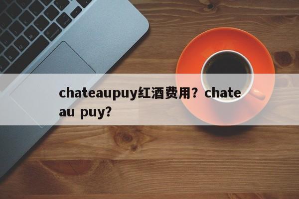 chateaupuy红酒费用？chateau puy？  第1张